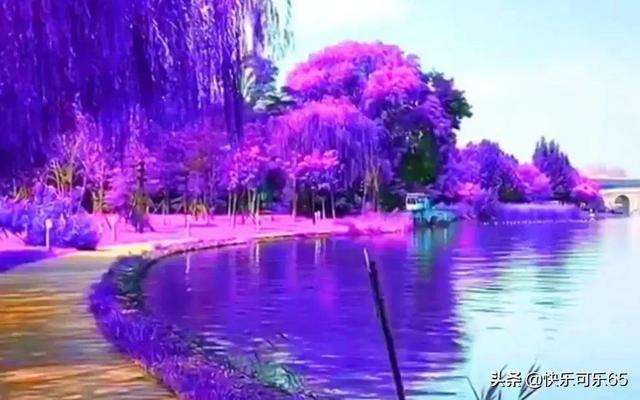 探讨天南海北，尽在问答交流平台2022年2月4日几 百度网盘？